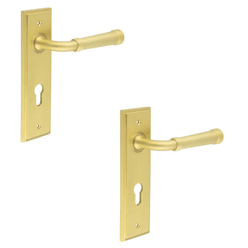 PACK Luxury Satin Brass Door Handle with Euro Backplate Solid Brass Interior Handle (1)