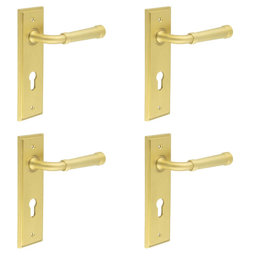 PACK Luxury Satin Brass Door Handle with Euro Backplate Solid Brass Interior Handle