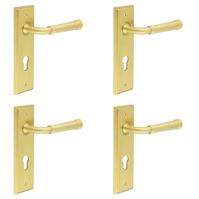 PACK Luxury Satin Brass Door Handle with Euro Backplate Solid Brass Interior Handle