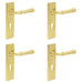 PACK Luxury Satin Brass Door Handle with Euro Backplate Solid Brass Interior Handle