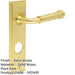 Elegant Satin Brass Door Handle with Backplate Bathrooms Solid Brass Interior Handle (1)-1