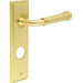 Elegant Satin Brass Door Handle with Backplate Bathrooms Solid Brass Interior Handle (1)