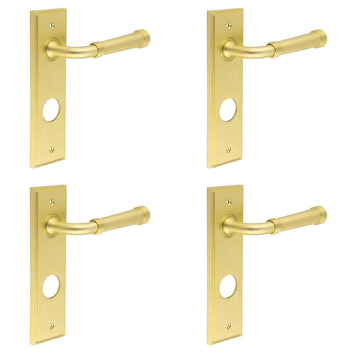 PACK Elegant Satin Brass Door Handle with Backplate Bathrooms Solid Brass Interior Handle (1)