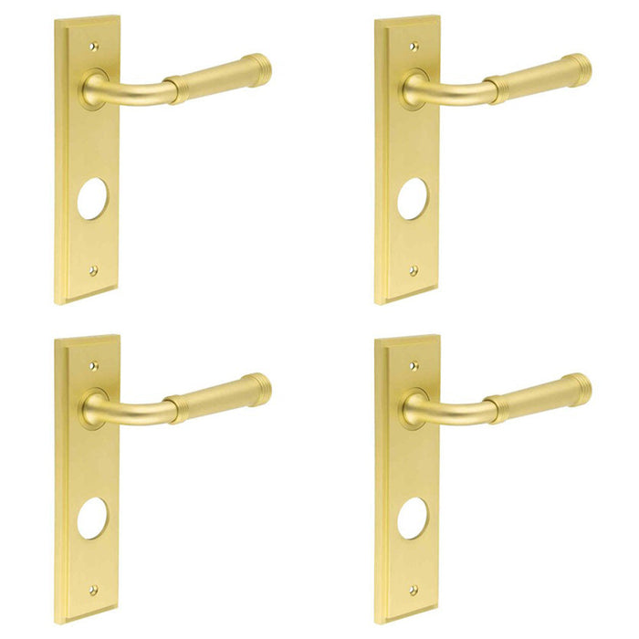 PACK Elegant Satin Brass Door Handle with Backplate Bathrooms Solid Brass Interior Handle (1)