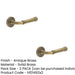 PACK Antique Brass Stepped Rose Door Handle Elegant Durable Design Solid Brass Interior Handle (1)-1