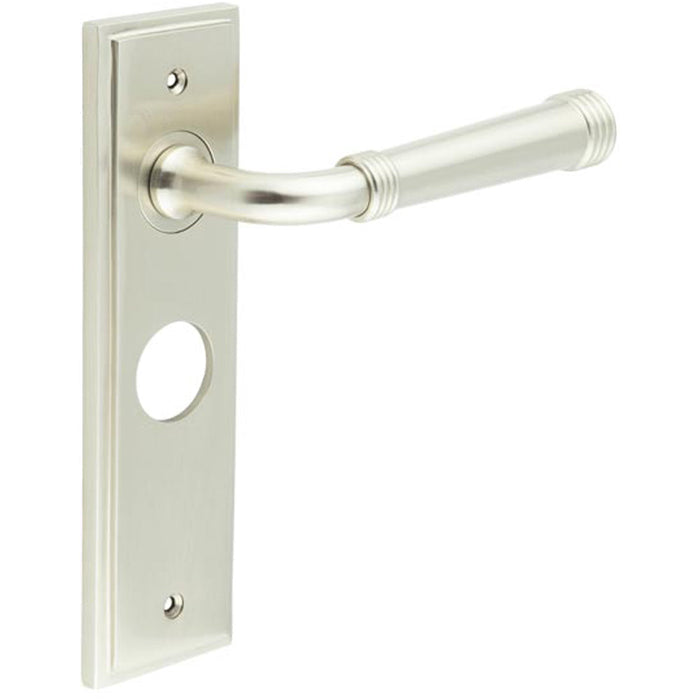 Elegant Satin Nickel Bathroom Door Handle with Backplate Solid Brass Interior Handle (1)