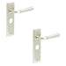 PACK Elegant Satin Nickel Bathroom Door Handle with Backplate Solid Brass Interior Handle (3)