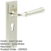 Elegant Satin Nickel Euro Backplate Door Handle Modern Homes Solid Brass Interior Handle-1