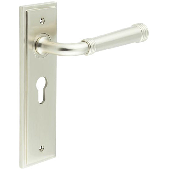 Elegant Satin Nickel Euro Backplate Door Handle Modern Homes Solid Brass Interior Handle