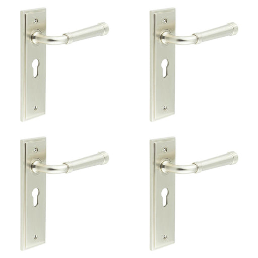 PACK Elegant Satin Nickel Euro Backplate Door Handle Modern Homes Solid Brass Interior Handle