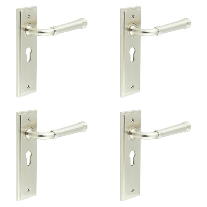 PACK Elegant Satin Nickel Euro Backplate Door Handle Modern Homes Solid Brass Interior Handle