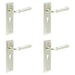 PACK Elegant Satin Nickel Euro Backplate Door Handle Modern Homes Solid Brass Interior Handle