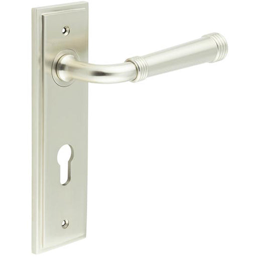 Elegant Satin Nickel Euro Backplate Door Handle Luxury Interiors Solid Brass Interior Handle