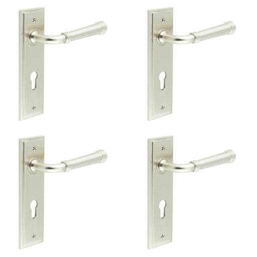 PACK Elegant Satin Nickel Euro Backplate Door Handle Luxury Interiors Solid Brass Interior Handle