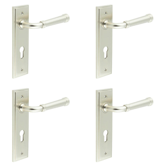 PACK Elegant Satin Nickel Euro Backplate Door Handle Luxury Interiors Solid Brass Interior Handle