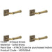 PACK Antique Brass Square Door Handle with Rose Design Elegant Interiors Solid Brass Interior Handle-1