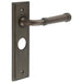 Luxury Dark Bronze Bathroom Door Handle with Backplate Solid Brass Interior Handle