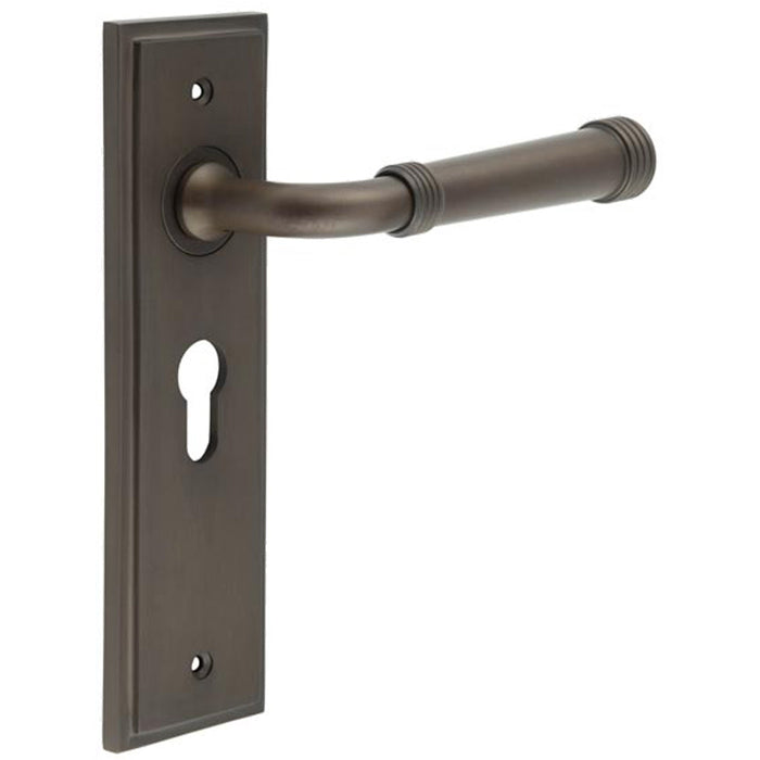 Elegant Dark Bronze Euro Backplate Door Handle Luxury Homes Solid Brass Interior Handle