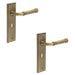 PACK Antique Brass Door Handle Lock Backplate Elegant Home Decor Solid Brass Interior Handle (3)