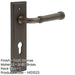 Elegant Dark Bronze Door Handle with Euro Backplate Luxurious Home Decor Solid Brass Interior Handle-1