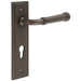 Elegant Dark Bronze Door Handle with Euro Backplate Luxurious Home Decor Solid Brass Interior Handle