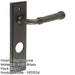 Elegant Dark Bronze Bathroom Door Handle with Backplate Solid Brass Interior Handle (1)-1