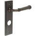 Elegant Dark Bronze Bathroom Door Handle with Backplate Solid Brass Interior Handle (1)