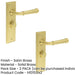 PACK Satin Brass Bathroom Door Handle with Backplate Turn Release Solid Brass Interior Handle (14)-1