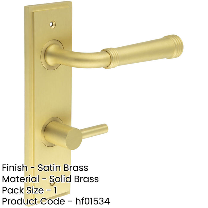 Elegant Satin Brass Door Handle with Backplate Bathrooms Solid Brass Interior Handle (2)-1