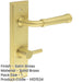 Elegant Satin Brass Door Handle with Backplate Bathrooms Solid Brass Interior Handle (2)-1