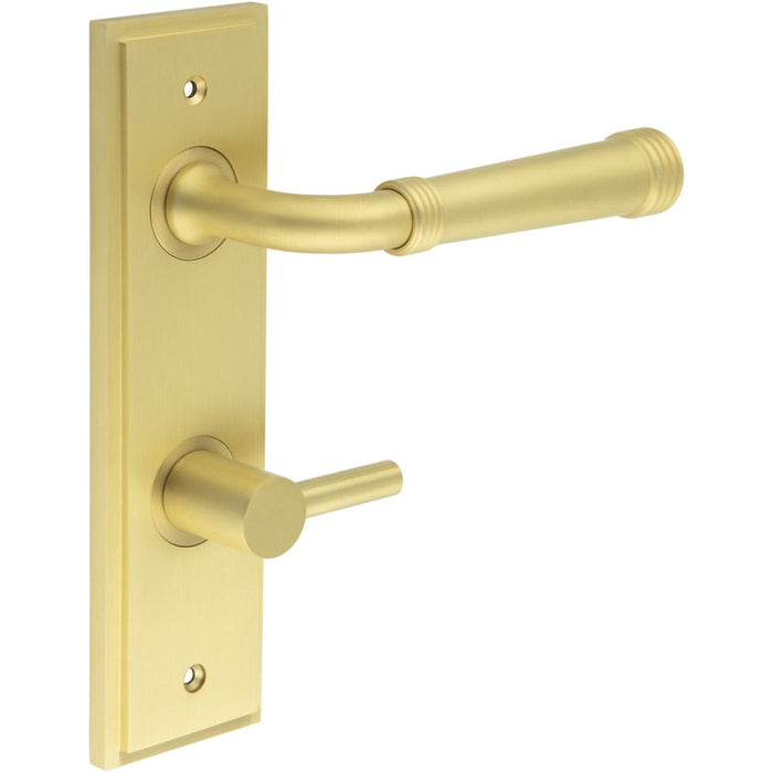 Elegant Satin Brass Door Handle with Backplate Bathrooms Solid Brass Interior Handle (2)