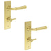 PACK Elegant Satin Brass Door Handle with Backplate Bathrooms Solid Brass Interior Handle (5)