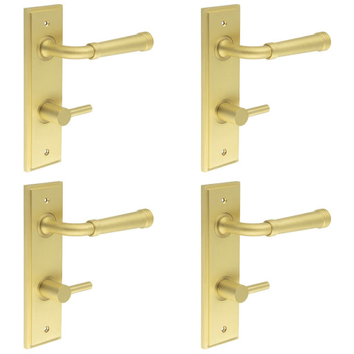 PACK Elegant Satin Brass Door Handle with Backplate Bathrooms Solid Brass Interior Handle (2)