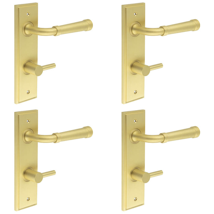 PACK Elegant Satin Brass Door Handle with Backplate Bathrooms Solid Brass Interior Handle (2)