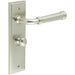 Stylish Satin Nickel Bathroom Door Handle with Backplate Turn Release Solid Brass Interior Handle