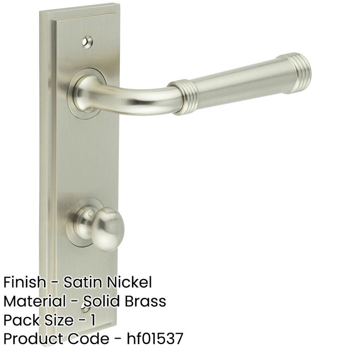 Satin Nickel Door Handle with Backplate Bathrooms Elegant Durable Design Solid Brass Interior Handle-1