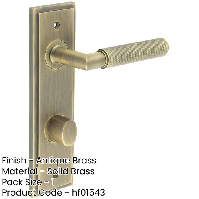 Antique Brass Door Handle with Backplate Bathrooms Elegant Turn Release Design Solid Brass Interior Handle (2)-1