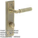 Antique Brass Door Handle with Backplate Bathrooms Elegant Turn Release Design Solid Brass Interior Handle (2)-1