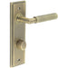 Antique Brass Door Handle with Backplate Bathrooms Elegant Turn Release Design Solid Brass Interior Handle (2)