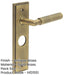 Antique Brass Bathroom Door Handle with Backplate Solid Brass Interior Handle-1