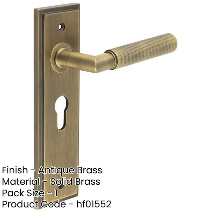 Antique Brass Euro Backplate Door Handle with Luxury Design Solid Brass Interior Handle-1