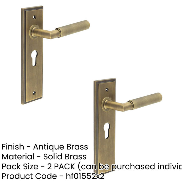 PACK Antique Brass Euro Backplate Door Handle with Luxury Design Solid Brass Interior Handle (1)-1