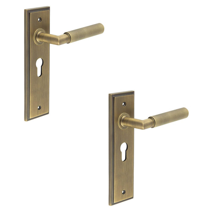 PACK Antique Brass Euro Backplate Door Handle with Luxury Design Solid Brass Interior Handle (1)