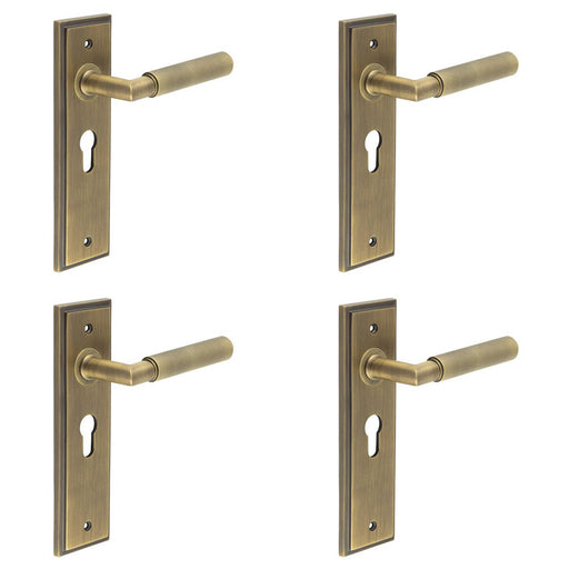 PACK Antique Brass Euro Backplate Door Handle with Luxury Design Solid Brass Interior Handle