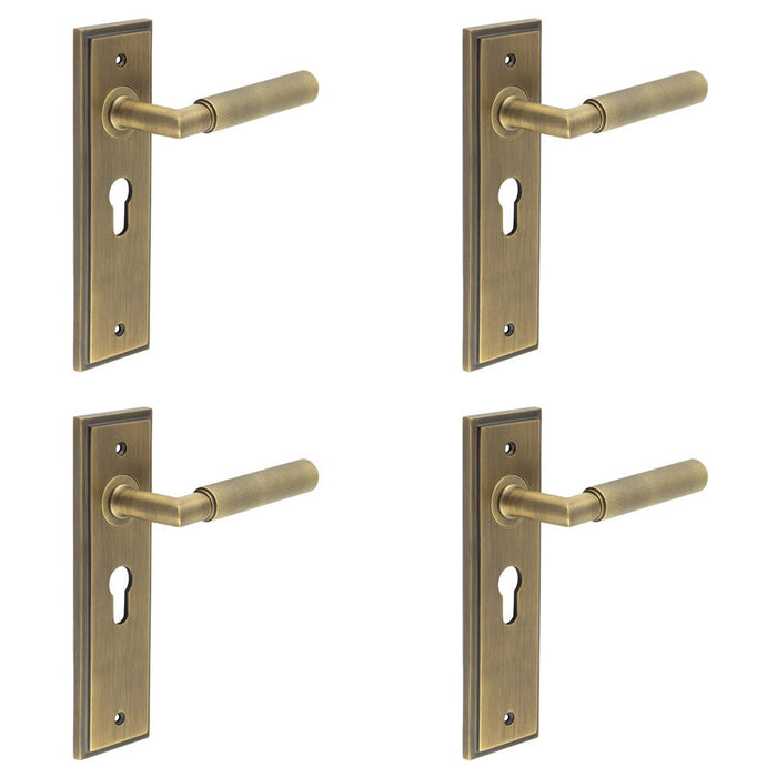 PACK Antique Brass Euro Backplate Door Handle with Luxury Design Solid Brass Interior Handle