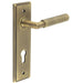 Antique Brass Euro Backplate Door Handle with Diamond Knurling Solid Brass Interior Handle