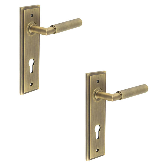 PACK Antique Brass Euro Backplate Door Handle with Diamond Knurling Solid Brass Interior Handle (1)