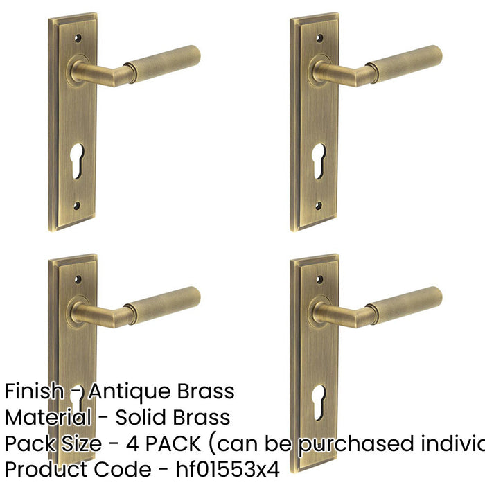 PACK Antique Brass Euro Backplate Door Handle with Diamond Knurling Solid Brass Interior Handle-1