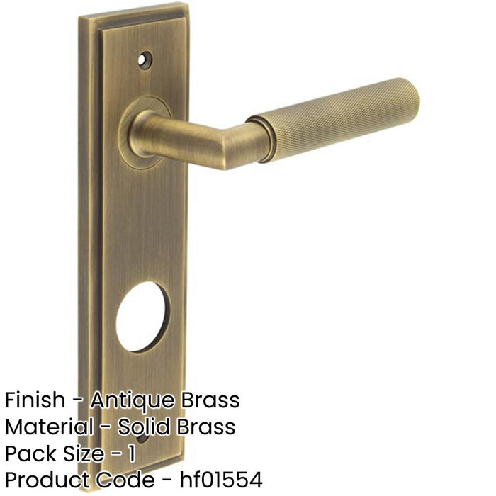 Luxury Antique Brass Door Handle with Backplate Bathrooms Solid Brass Interior Handle-1