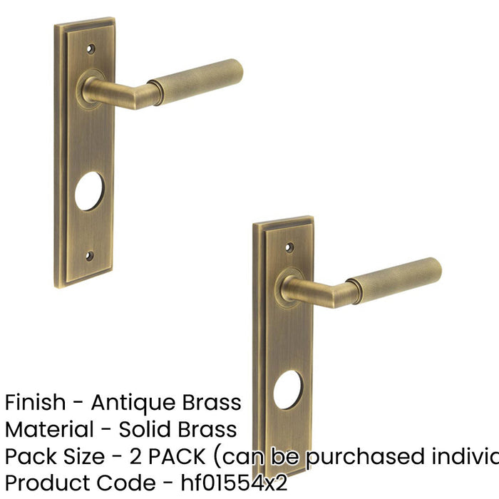 PACK Luxury Antique Brass Door Handle with Backplate Bathrooms Solid Brass Interior Handle (1)-1